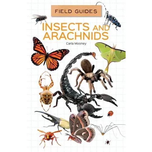 Insects and Arachnids