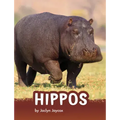 Hippos