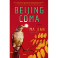 Beijing Coma