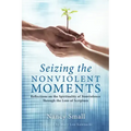Seizing the Nonviolent Moments: Reflections on the Spirituality of Nonviolence Through the Lens of Scripture