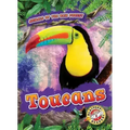 Toucans