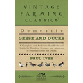 Domestic Geese And Ducks - A Complete And Authentic Handbook And Guide For Breeders, Growers And Admirers Of Domestic Geese And Ducks