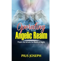Operating in the Angelic Realm: Prayers that Activate the Ministry of Angels