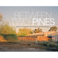 Between Two Pines: Ushering in a Sustainable Future Through an Art-Science Practice