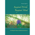 Imaginal World, Imaginal Mind: Unveiling the Impact of Spiritual Experiences