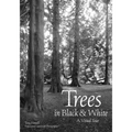 Trees in Black & White: A Visual Tour