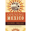 Opening Mexico: The Making of a Democracy
