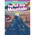 Top of the Mountain