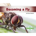 Becoming a Fly