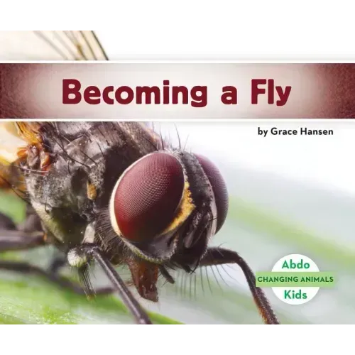 Becoming a Fly