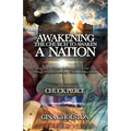 Awakening the Church to Awaken a Nation: Finding God's Wisdom and Strategies for Our Times through Prophetic Dreams, Visions, and Revelation