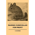Raising Chinchillas For Profit