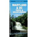 Maryland & DC Trees & Wildflowers: A Folding Pocket Guide to Familiar Plants