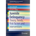 Juvenile Delinquency: Theory, Trends, Risk Factors and Interventions
