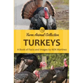 Turkeys