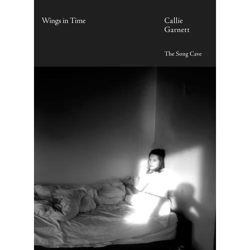 Wings in Time