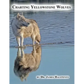 Charting Yellowstone Wolves