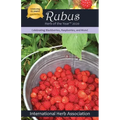 Rubus: Herb of the Year(TM) 2020: Celebrating Blackberries, Raspberries & More!