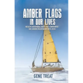 AMBER FLAGS IN OUR LIVES - Negative Behavioral Traits that Compromise Our Abiding Relationship with Jesus