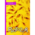Protozoa