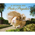 A Guinea Pig Pride & Prejudice