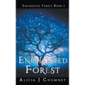 Into the Enchanted Forest