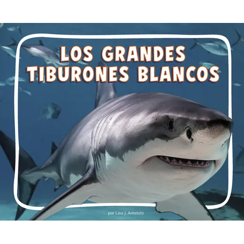 Los Grandes Tiburones Blancos (Great White Sharks)