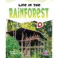 Life in the Rainforest
