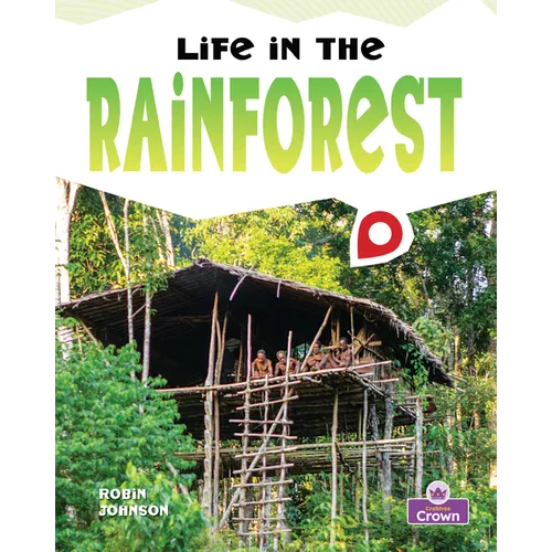 Life in the Rainforest