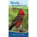 Birds of the Southwest: Your Way to Easily Identify Backyard Birds