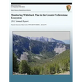 Monitoring Whitebark Pine in the Greater Yellowstone Ecosystem: 2011 Annual Report