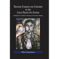 Treating Families and Children in the Child Protective System: Strategies for Systemic Advocacy and Family Healing