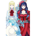 The Holy Grail of Eris, Vol. 9 (Manga)