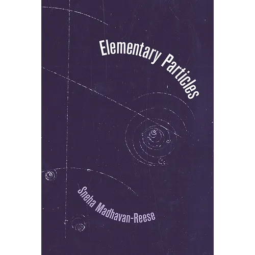 Elementary Particles