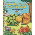 How the Turtle Got Its Shell