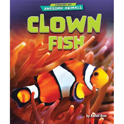 Clown Fish