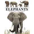 Elephants