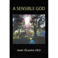 A Sensible God
