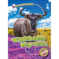 Wildebeest Migration