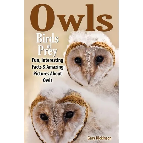 Owls: Birds Of Prey