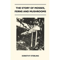 The Story Of Mosses, Ferns And Mushrooms