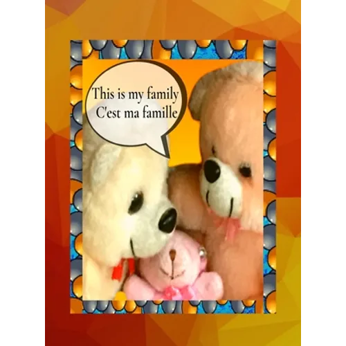 This is my family C'est ma famille: A bilingual English French children's colourful family photo book and beginner book for learning French