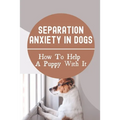 Separation Anxiety In Dogs: How To Help A Puppy With It: How To Break A Dog'S Separation Anxiety