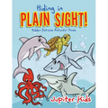 Hiding in Plain Sight! Hidden Pictures Activity Book