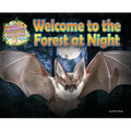 Welcome to the Forest at Night