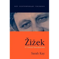 Zizek: A Critical Introduction