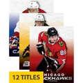 NHL Teams (Set of 12)