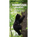 Tennessee Wildlife: A Folding Pocket Guide to Familiar Animals
