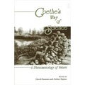 Goethe's Way of Science: A Phenomenology of Nature
