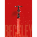 Bill Beckley and Narrative Art: The Word-Image Riddle and the Aesthetics of Beauty